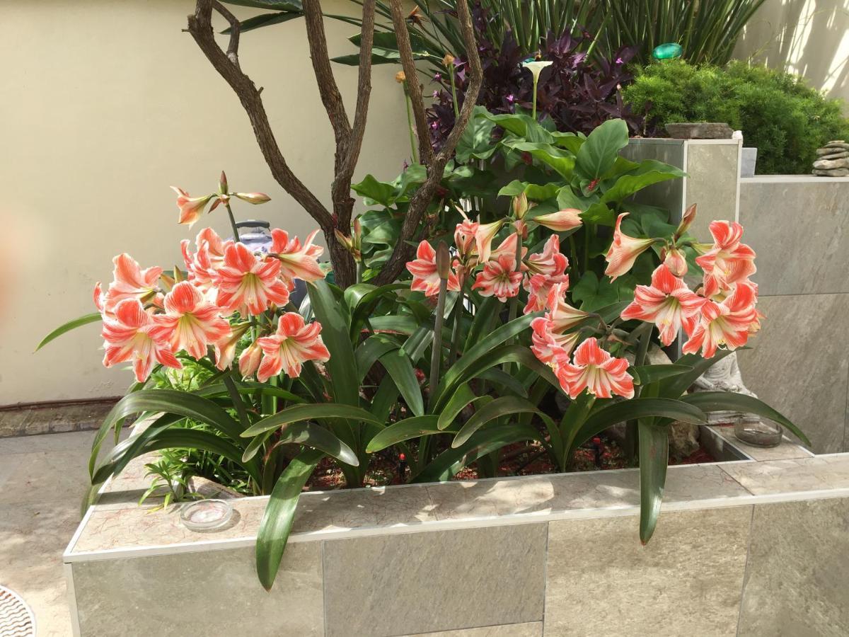 Apartamento Bizcocheros Con Piscina Y Jardin Privado Jerez de la Frontera Exteriér fotografie